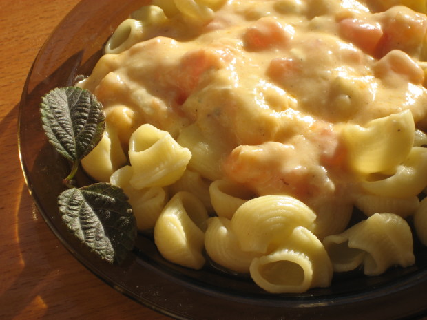 Tomato alfredo pasta sauce recipes Tomato alfredo pasta sauce recipes