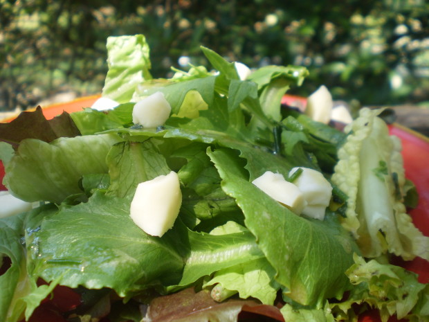 Famous french salad recipes Famous french salad recipes