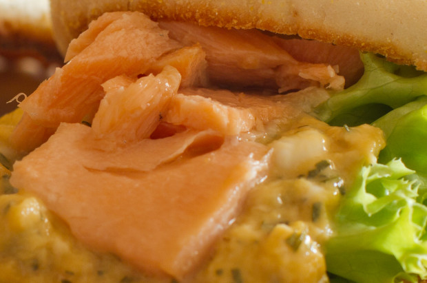 Smoked salmon recipes no brine Smoked salmon recipes no brine
