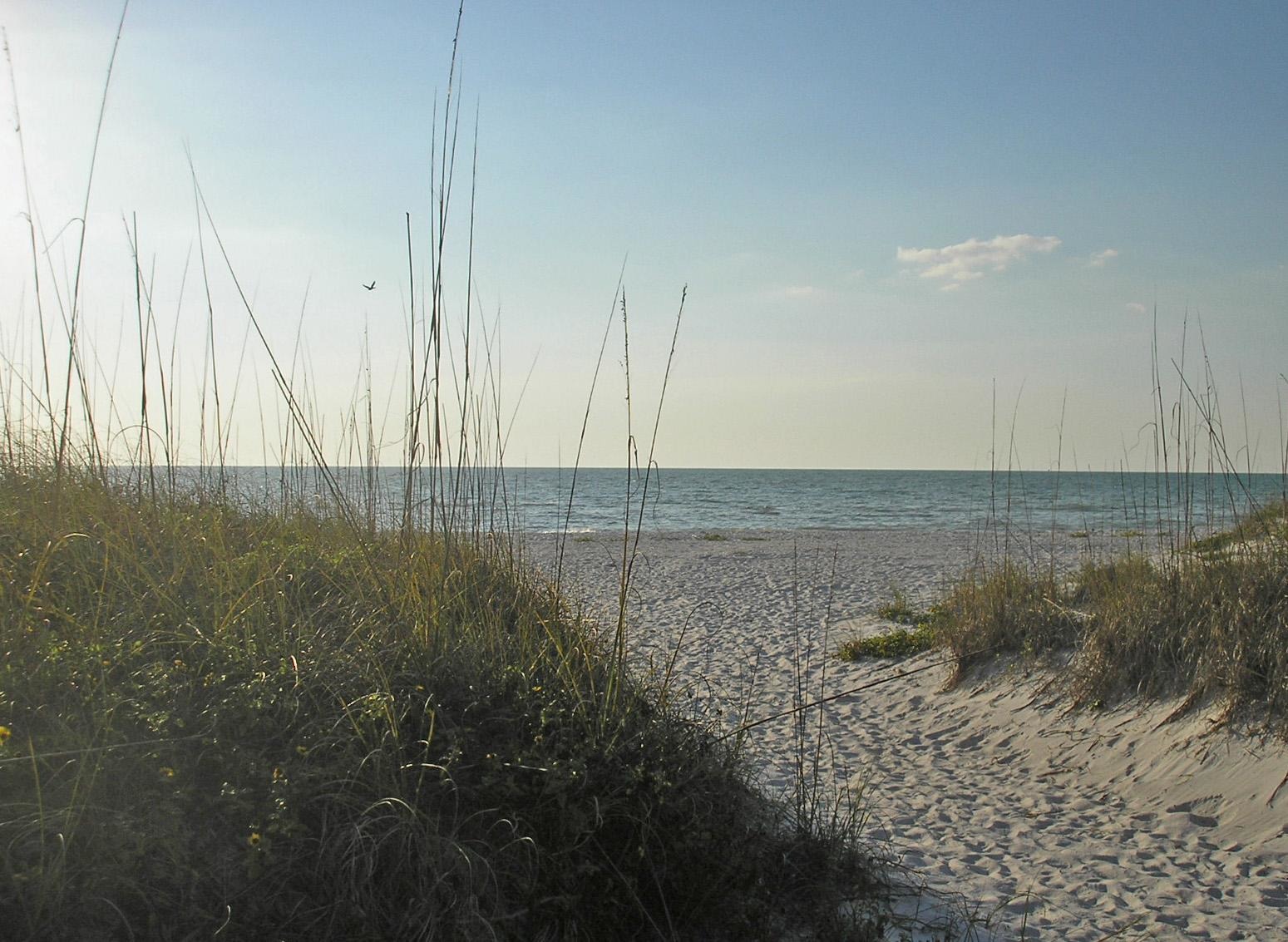 Cuban Sandwich A Tampa Classic! Recipe Genius Kitchen