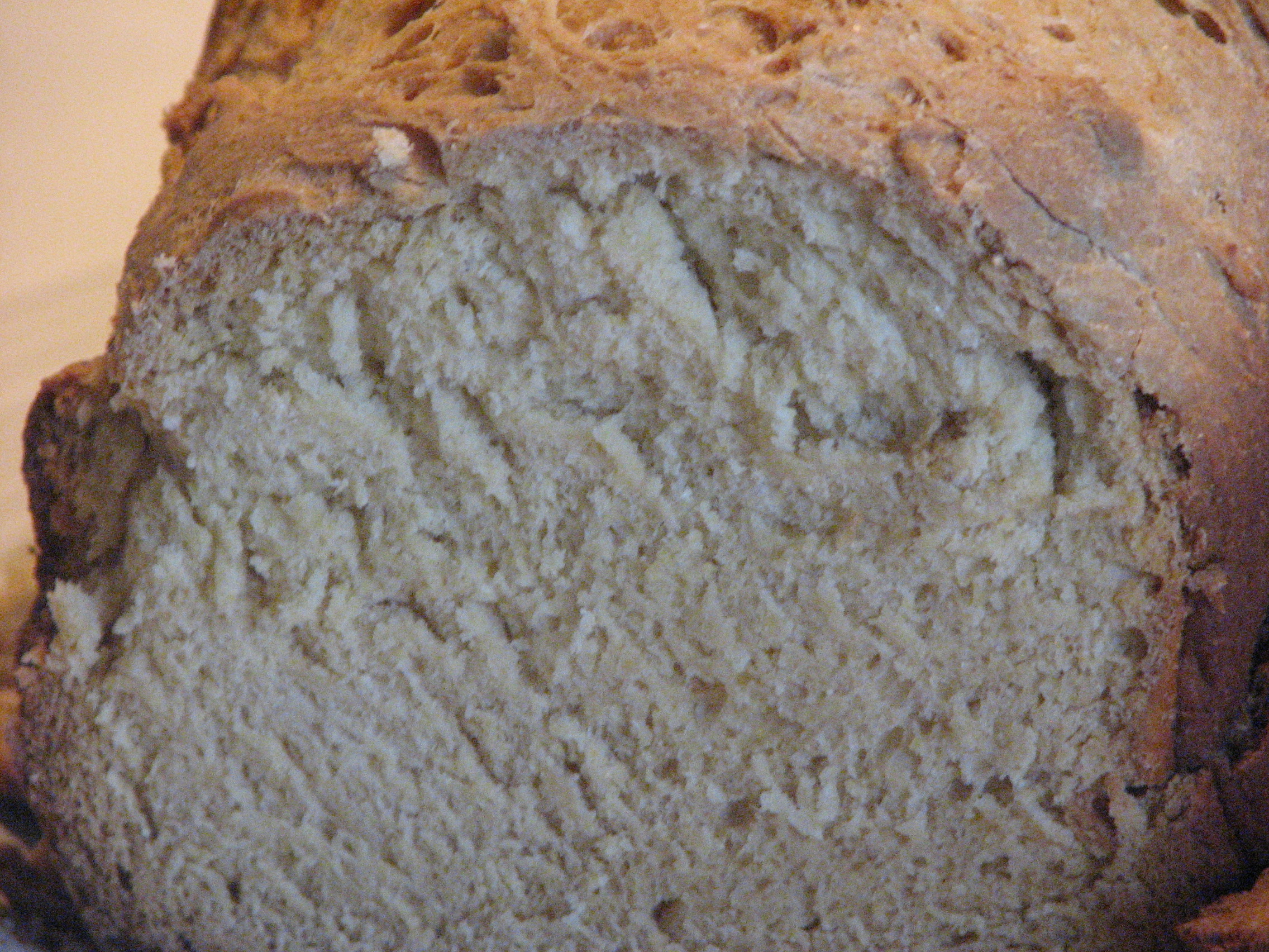 Yeast Corn Rolls