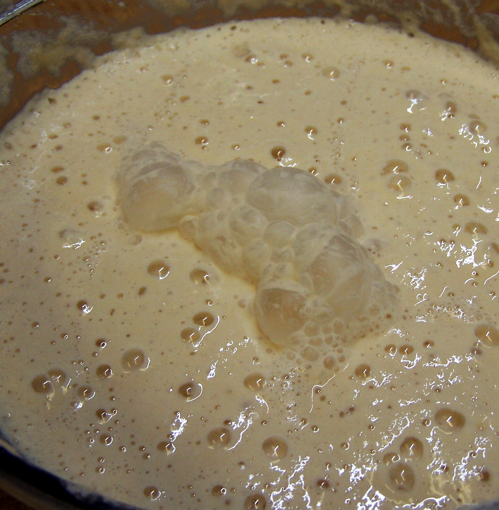 Foolproof Sourdough Starter