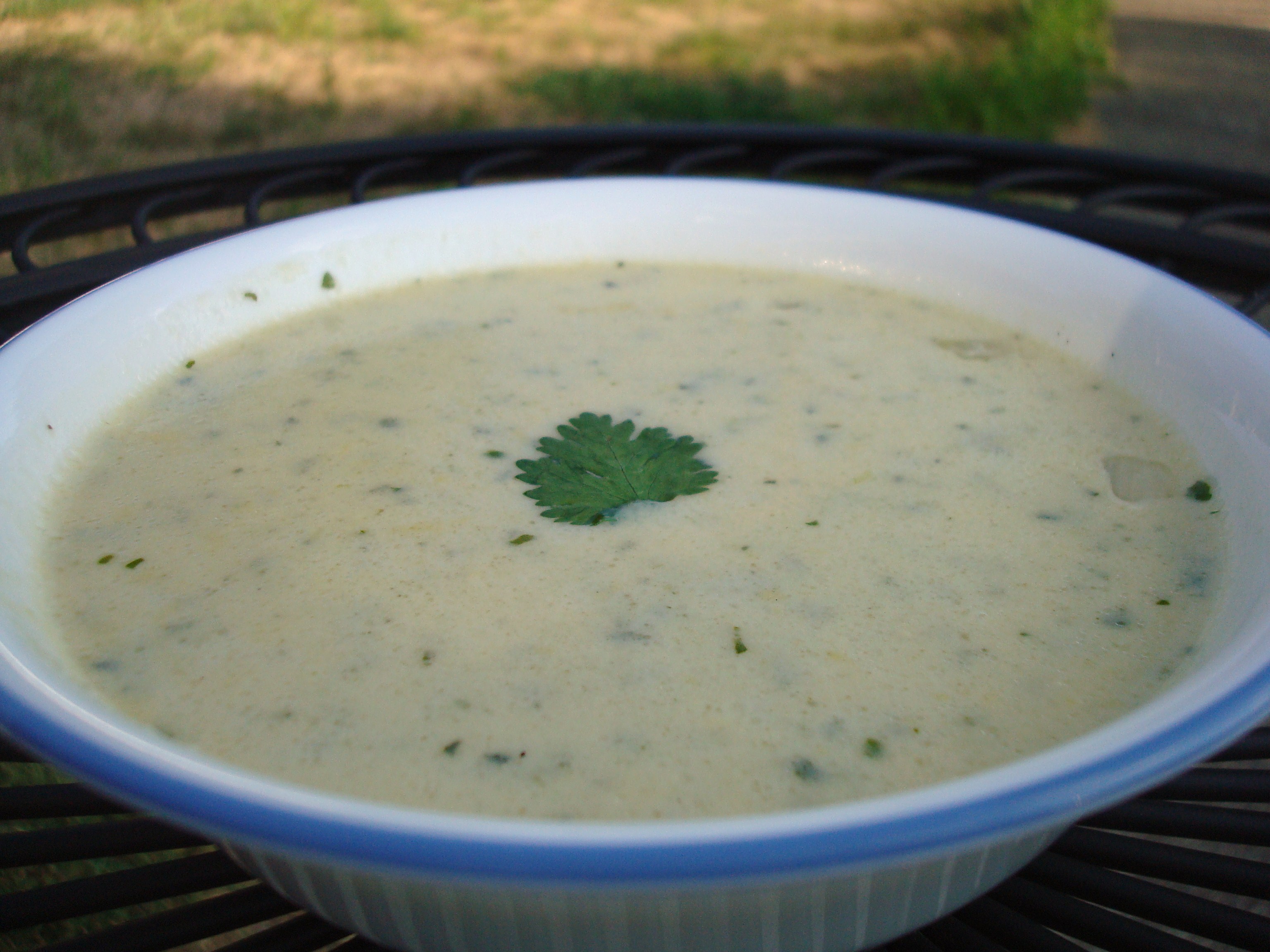 Cream Of Zucchini Soup (Crema De Calabacitas)