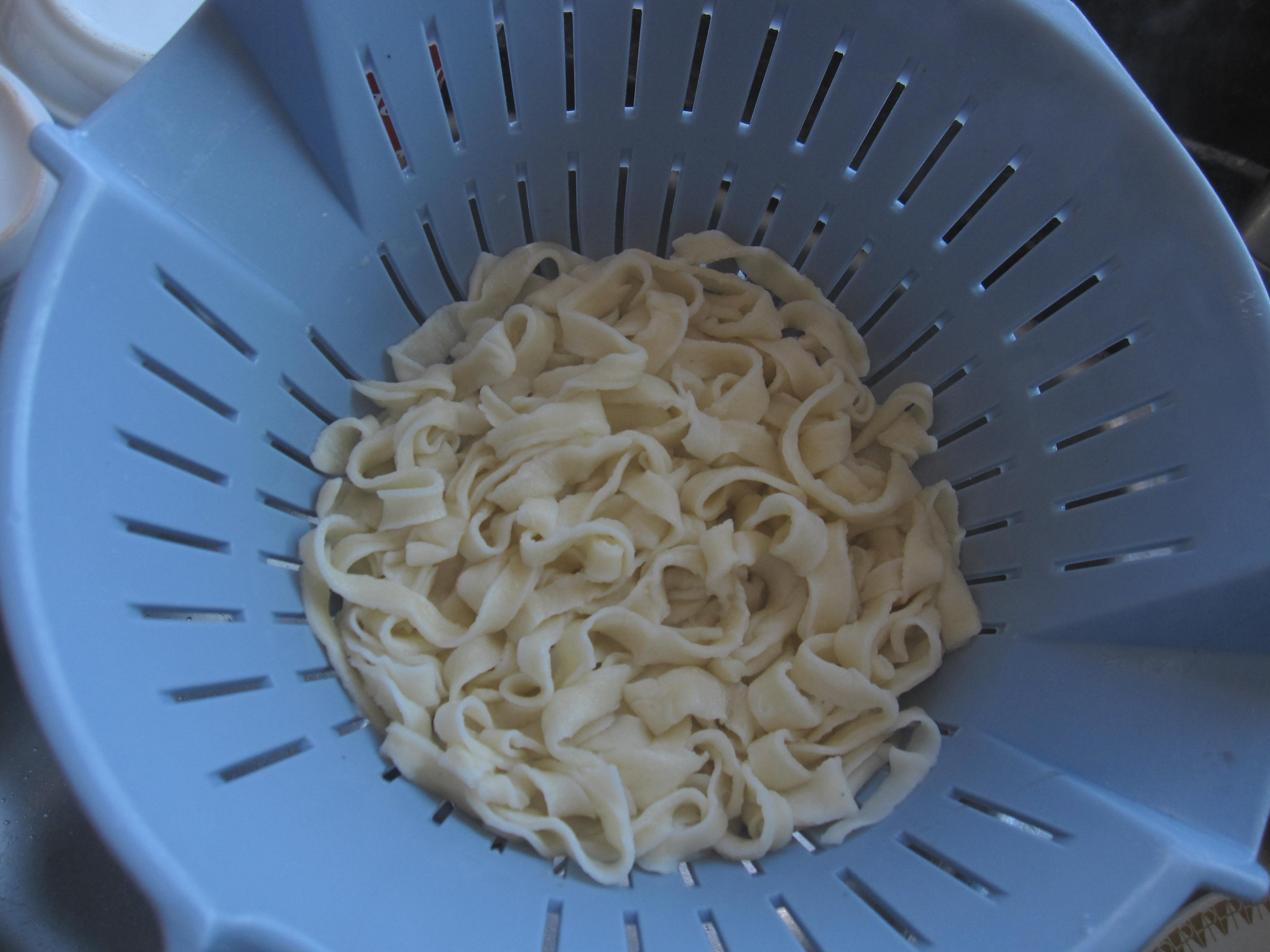 No Knead Homemade Noodles (Food Processor)