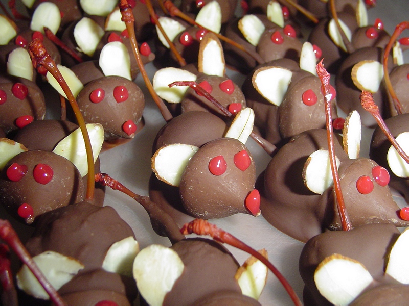 Chocolate Christmas Mice (Or Anytime Mice)
