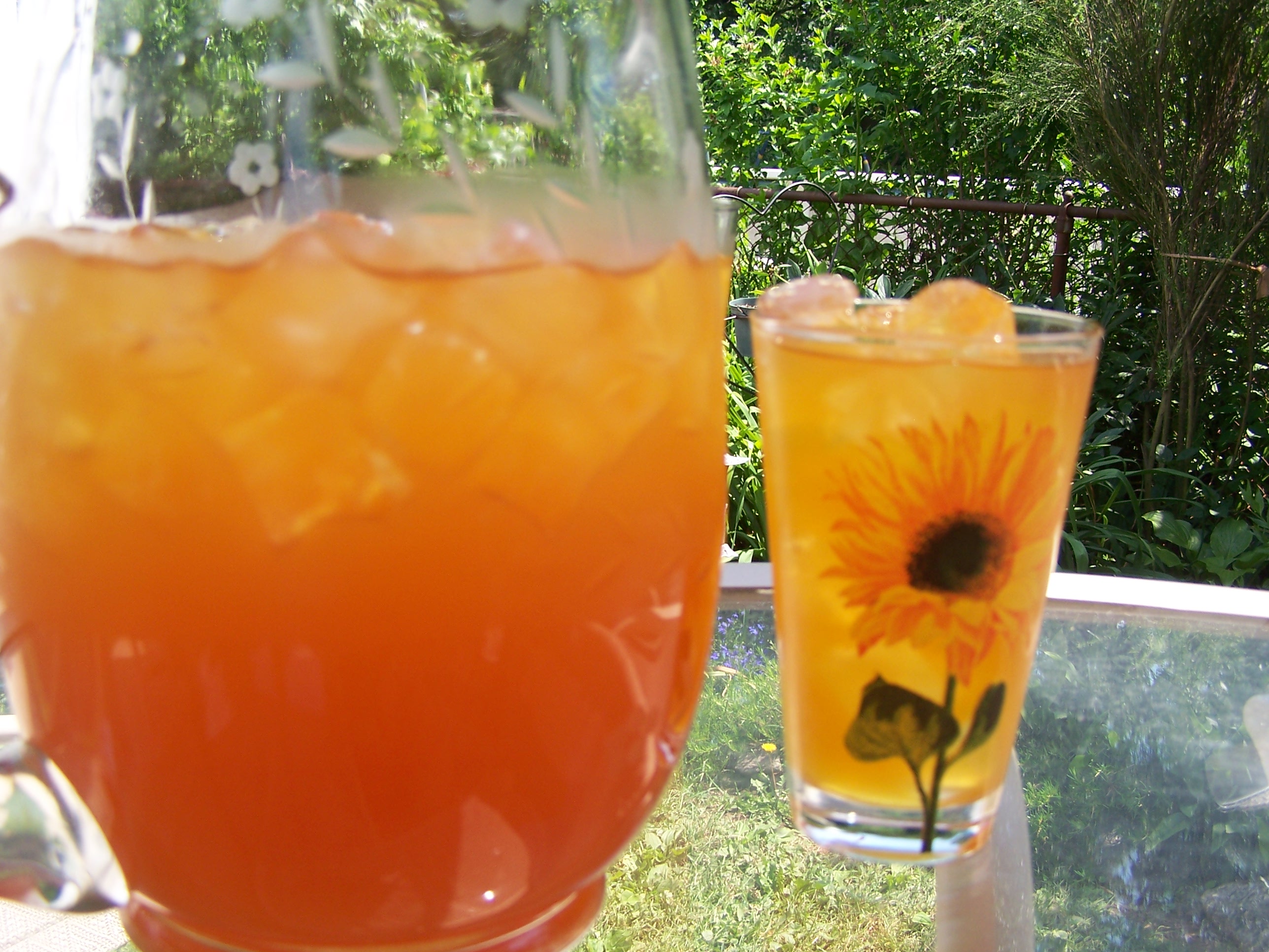 Iced Rooibos And Mango Tea