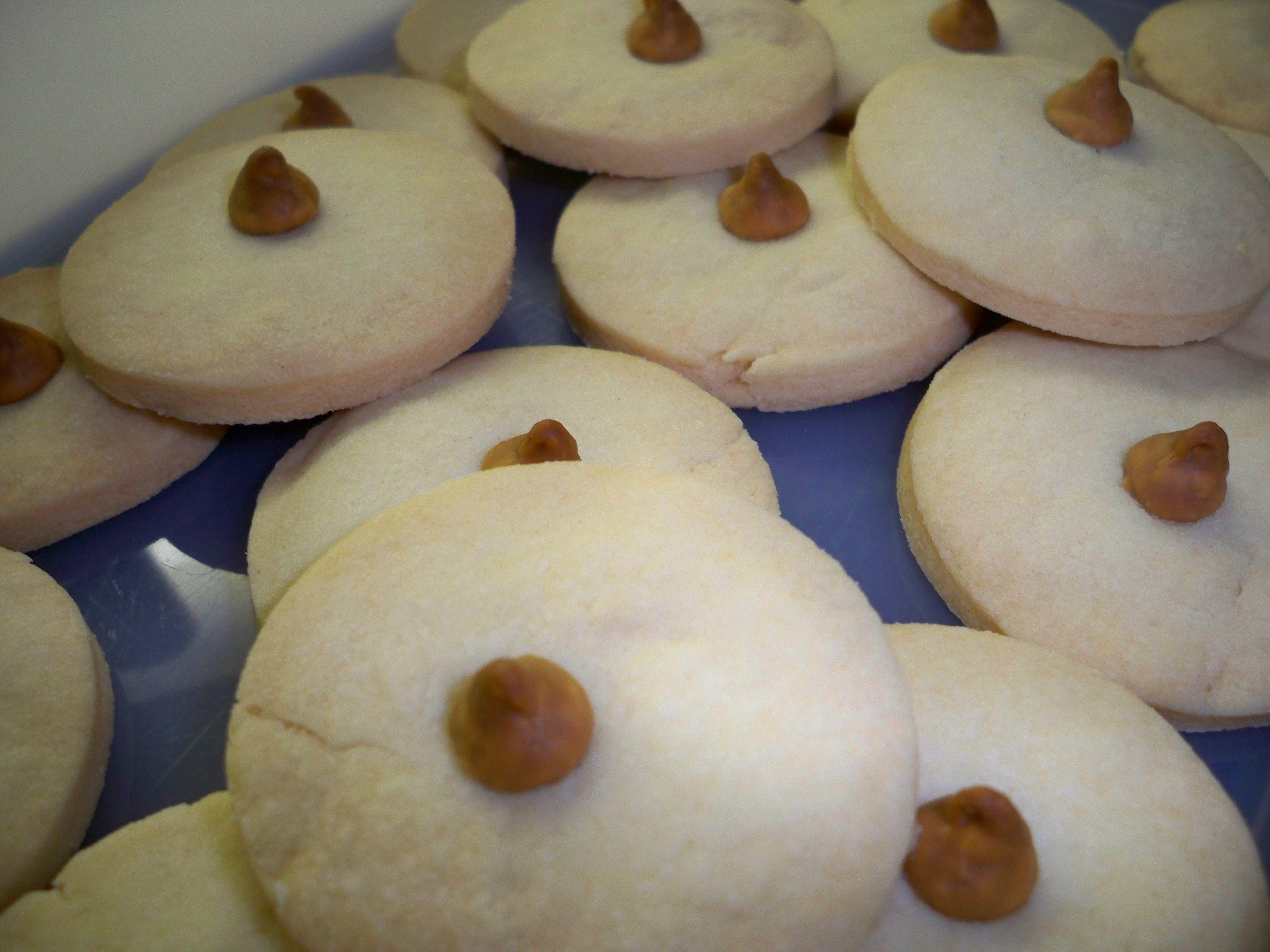 Grandma’S Shortbread Cookies