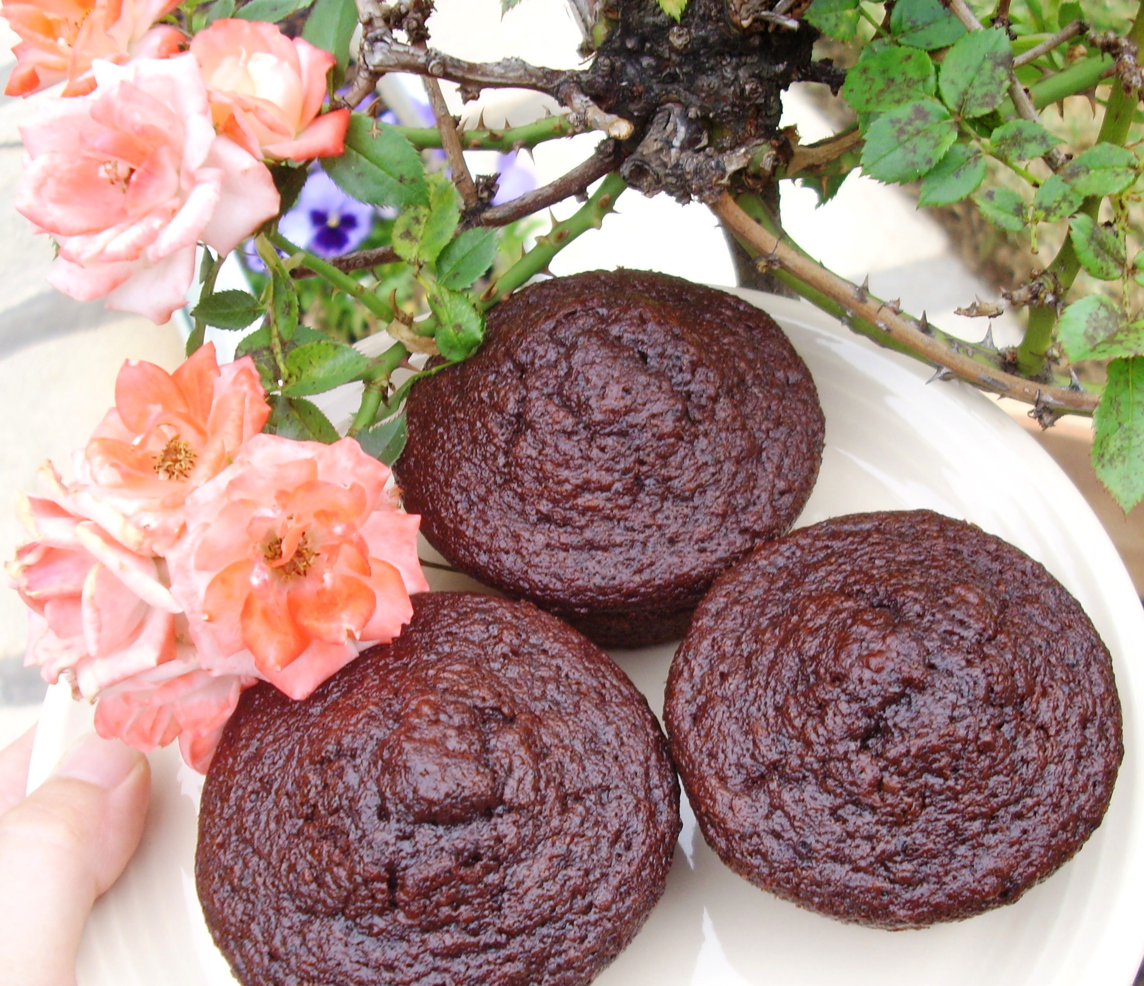 Dark Chocolate Yogurt Cake