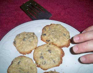 Raisin Oat Cookies