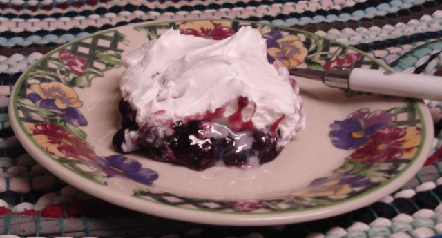 Blueberry Dessert