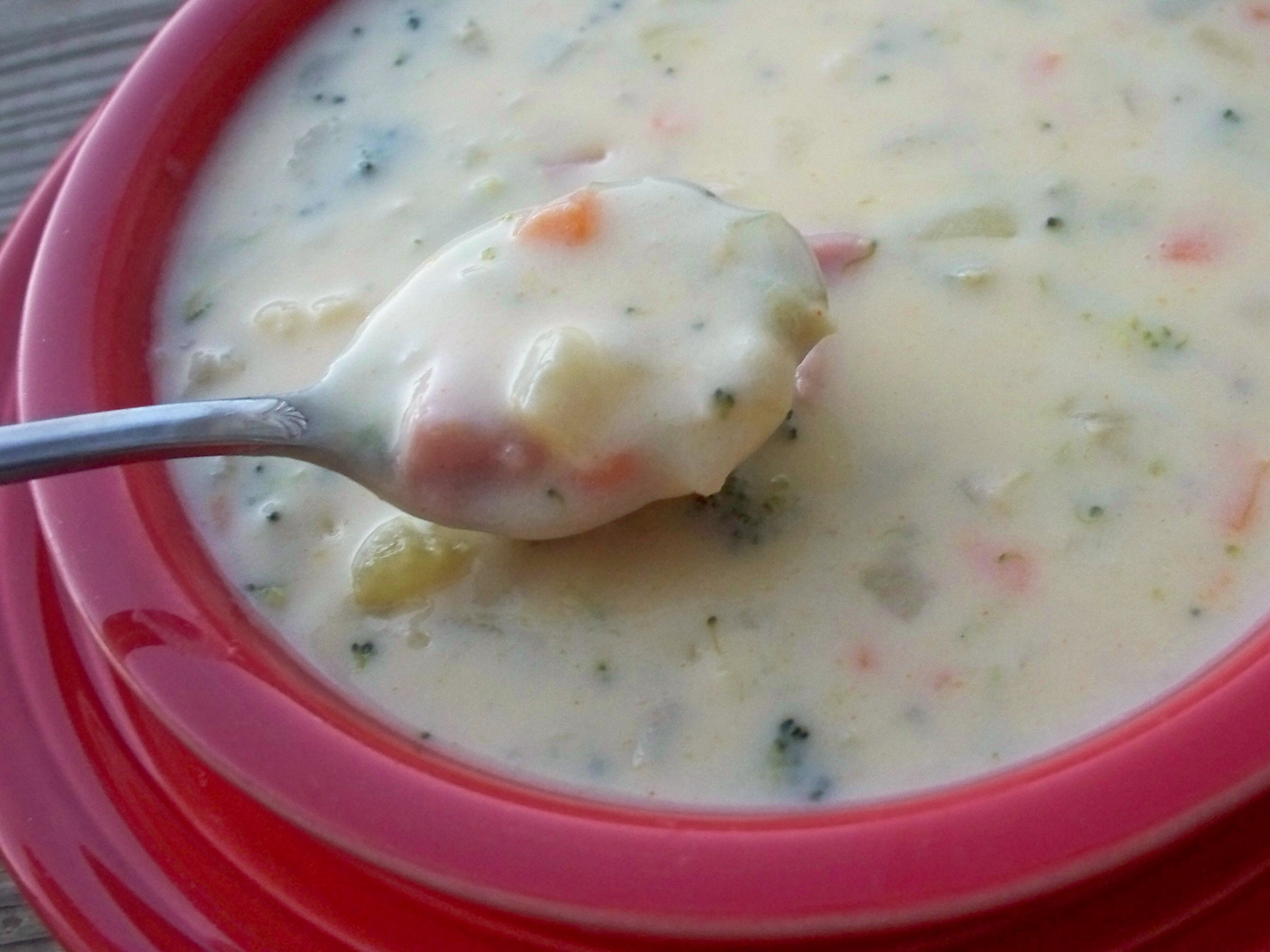 Vegetable Chowder