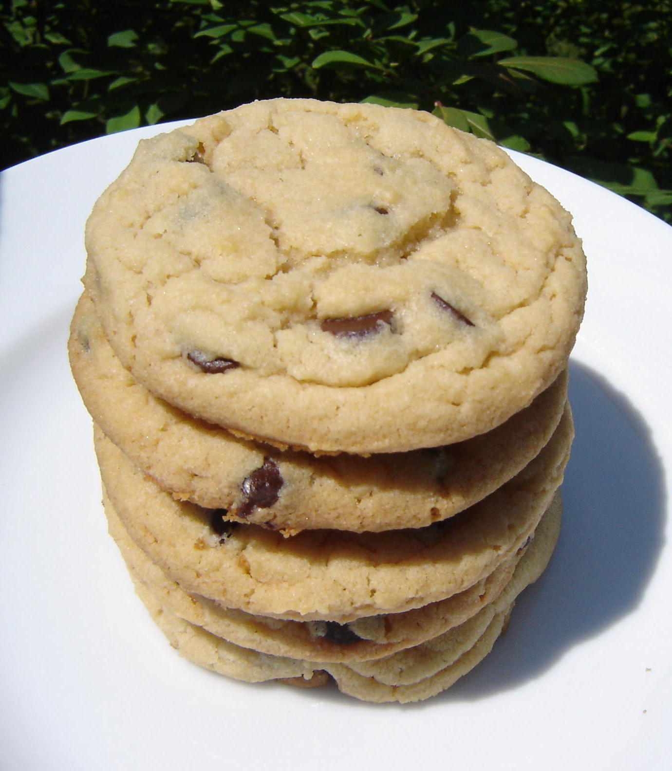 Big Thick Chocolate Chip Cookies