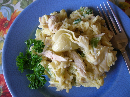 Rice a roni chicken salad recipes Rice a roni chicken salad recipes