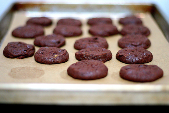 what does cocoa powder do to cookies