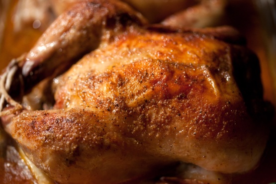 Easy cornish hen recipes Easy cornish hen recipes