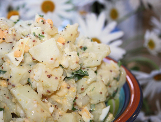 Salad recipes in australia Salad recipes in australia