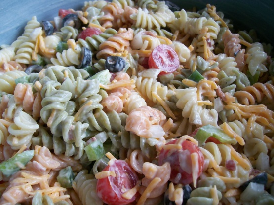 Ranch packet pasta recipes Ranch packet pasta recipes