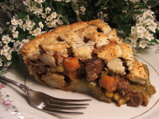 Beef Pot Pie with Thyme & Pepper Pastry