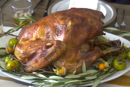 Never-Fail Turkey