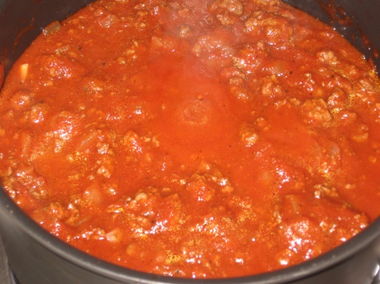 can dogs eat tomato sauce stew tomato sauce can dogs eat tomato sauce stew tomato sauce