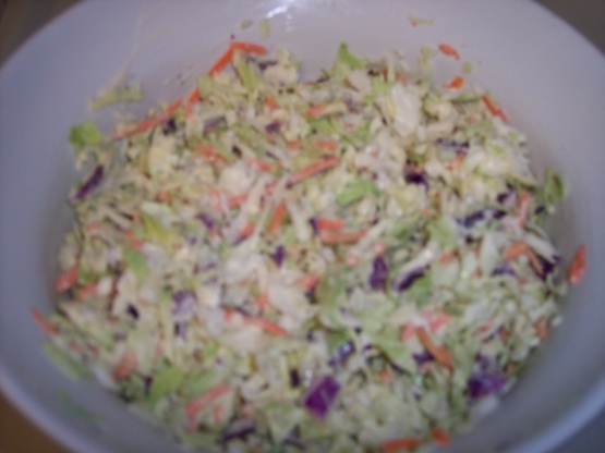 homemade coleslaw dressing recipes homemade coleslaw dressing recipes