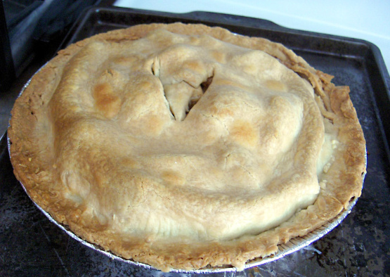Diabetic Apple Pie Recipe - Genius Kitchen