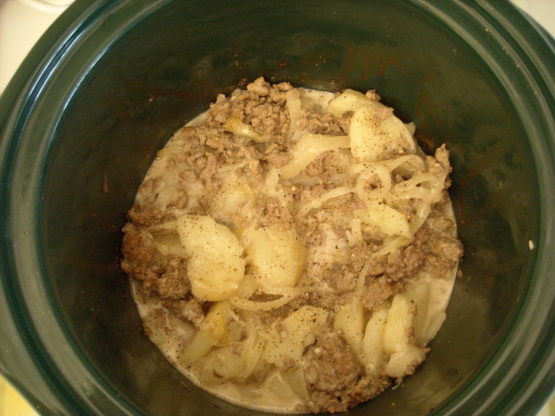 Crock Pot Hamburger n Potato Casserole Recipe - Food.com
