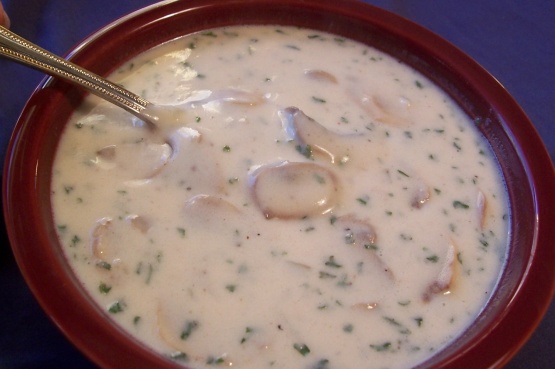 pot roast crock pot with cream of mushroom soup