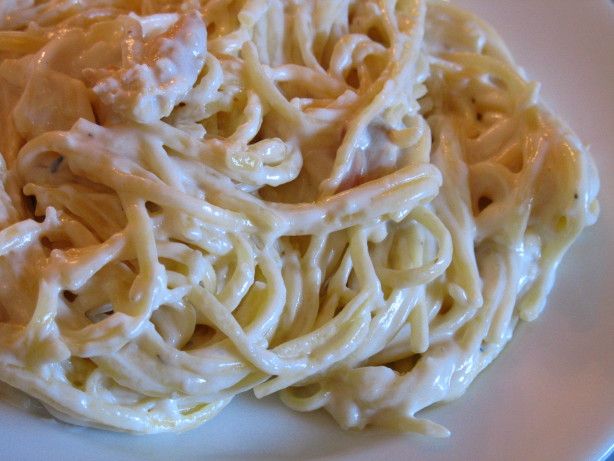 old spaghetti factory original clam sauce recipe food com old spaghetti factory original clam sauce recipe food com