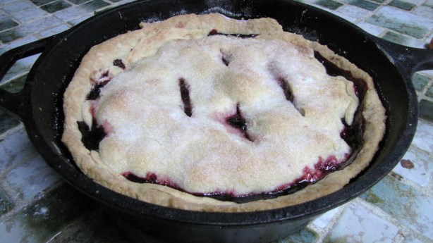 Iron Skillet Blackberry Cobbler Recipe