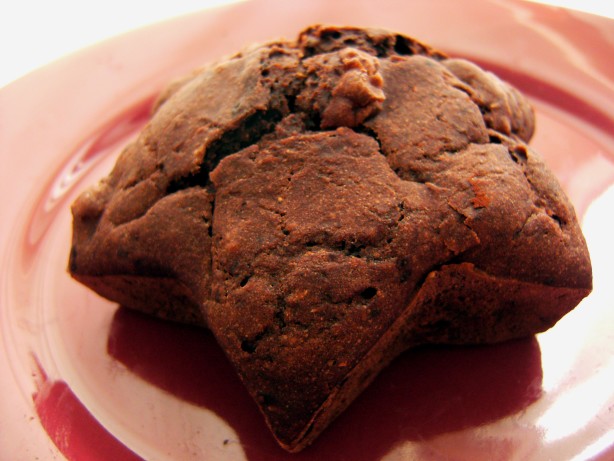 Low Fat Low Sugar Chocolate Apple Snack Cake Recipe - Food.com