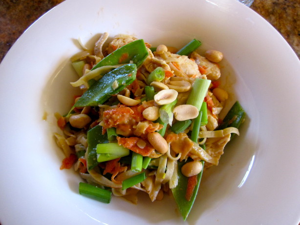 Sauce and Noodles And sauce Recipe chicken Chicken Food.com recipe With noodle Soba Spicy Peanut Sauce and Noodles And sauce Recipe chicken Chicken Food.com recipe With noodle Soba Spicy Peanut