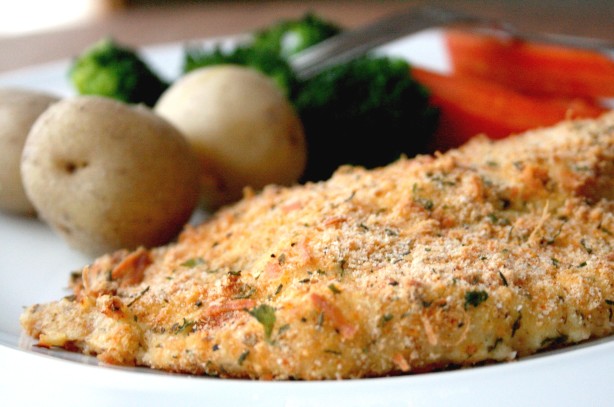 baked parmesan tilapia recipe food com baked parmesan tilapia recipe food com