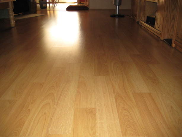 Laminate Floor Cleaner Recipe - Food.com