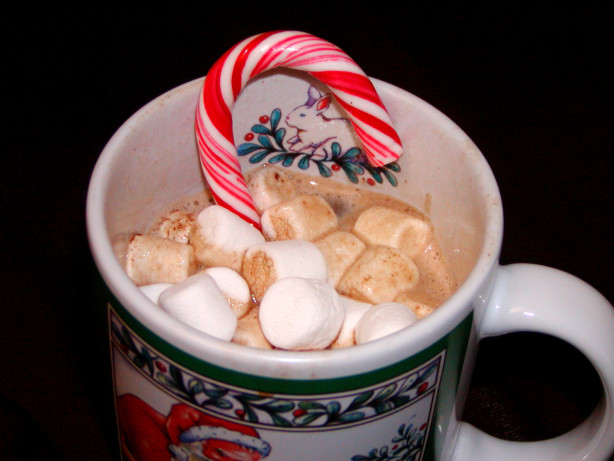 mint chocolate chip hot chocolate