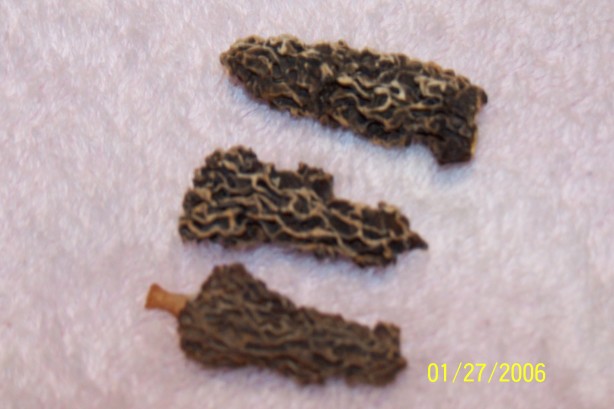 Dried Morel Mushrooms Recipe - Food.com