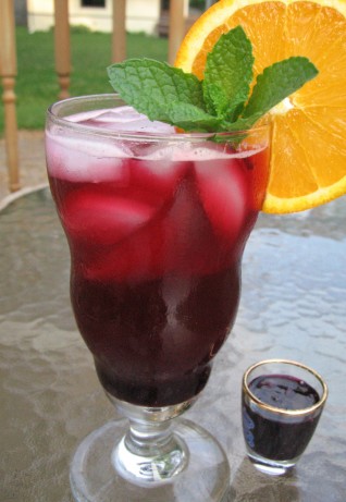 blueberry drink syrup for blueberry iced tea recipe food com the ultimate grocery list
