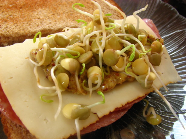 How To Sprout Lentils Recipe Food