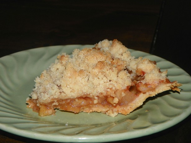 best dutch apple crumb pie recipe best dutch apple crumb pie recipe