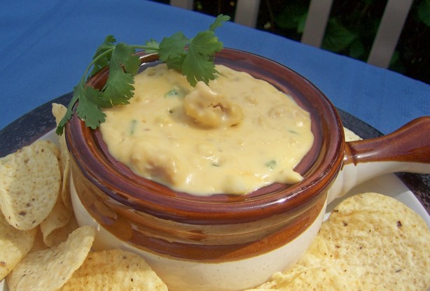 Spicy Chicken Dip Recipe - Food.com