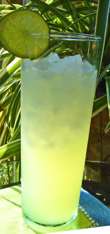 Best Fresh Margaritas By The Pitcher Recipe - Food.com