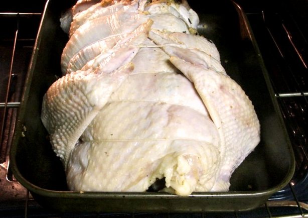 stuffed turkey duck chicken