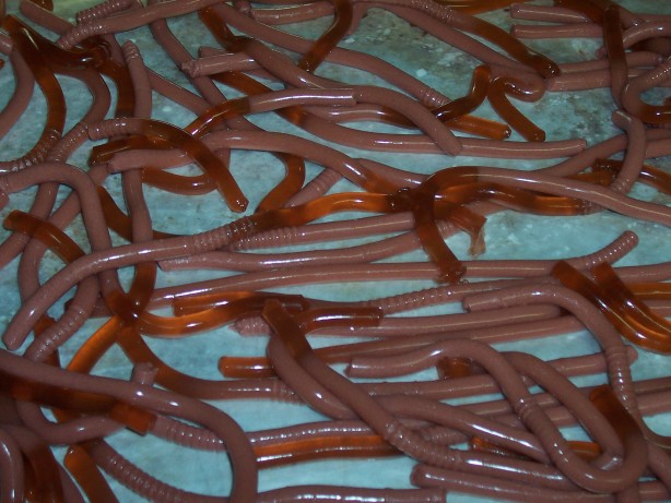 Halloween Worms Recipe Food