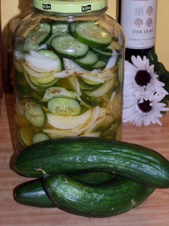 Shaker Pickles