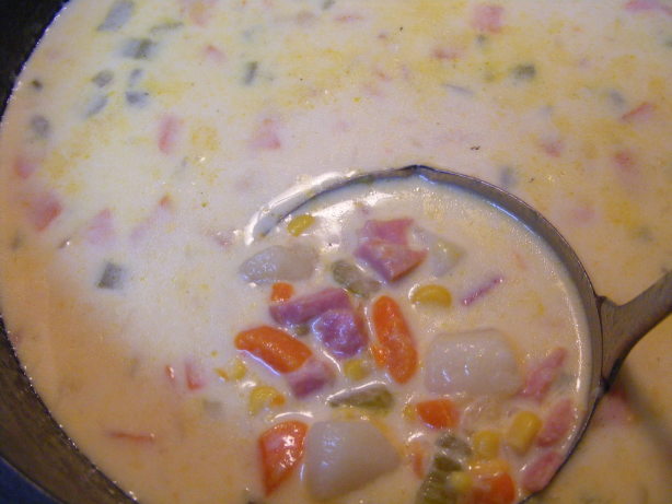 Crock Pot - Cheesy Ham Potato Soup Recipe - Food.com