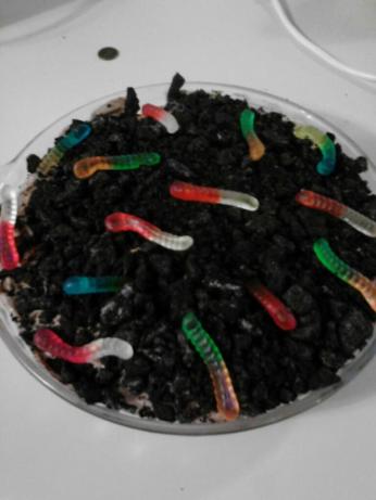 Original No-Bake Dirt Pie With Worms Recipe - Food.com