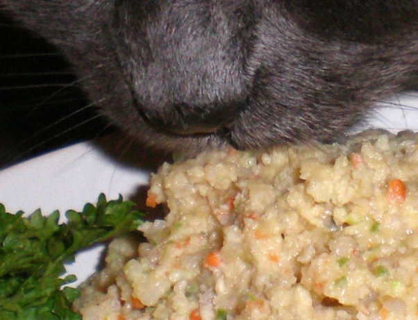 Kidney Diet Cat Food Recipe Kidney Diet Cat Food Recipe