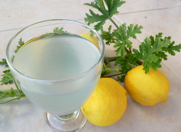 rose scented geranium lemonade recipe food com rose scented geranium lemonade recipe food com