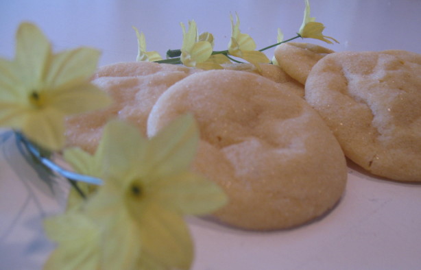 Egg Yolk Cookies Recipe - Food.com