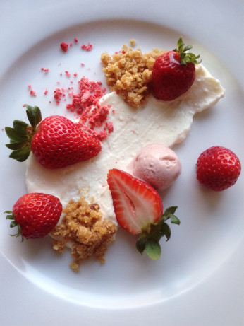 Beautiful photography of lemon ricotta cheesecake at work here
